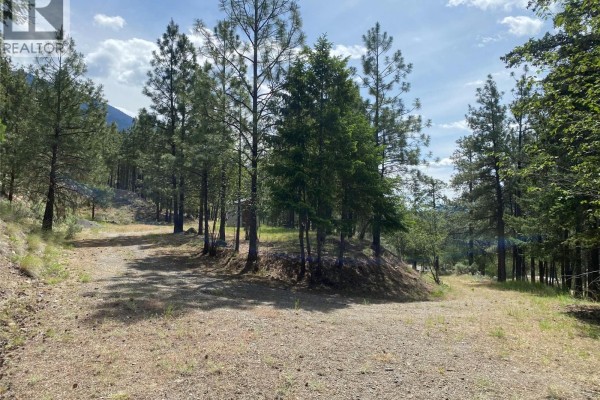 Dirt road splits into two paths surrounded by tall pine trees and dry grass. - 101 Airport Road, Lillooet