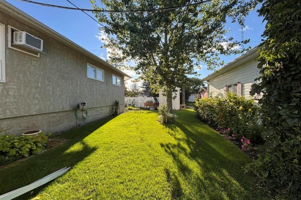 View of the backyard lawn between the house and garage with a tree casting shadows. - 101 Bay Street, Gladstone
