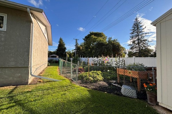 View of the backyard fence, garden beds, and a shed under a blue sky. - 101 Bay Street, Gladstone