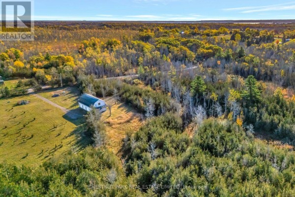 101 Foster Road, Prince Edward County, ON K0K1W0 Photo 4