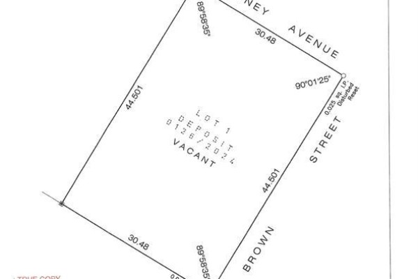 101 Goudney Avenue, Pilot Mound, MB R0G1P0 Photo 4