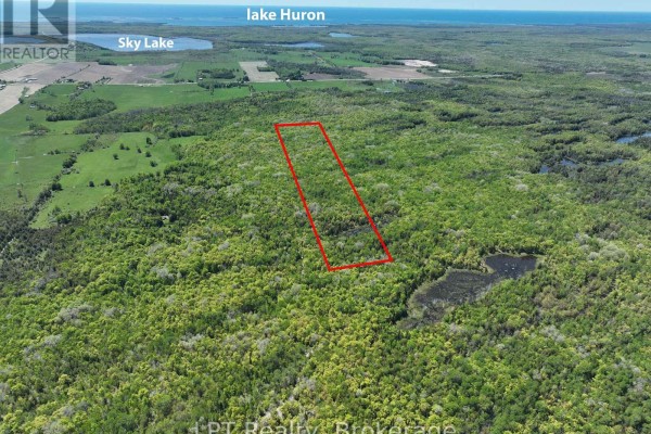 Aerial view of forested land marked by a red rectangle, showing a mix of trees and clearings. - 101 Log Cabin Lane, South Bruce Peninsula