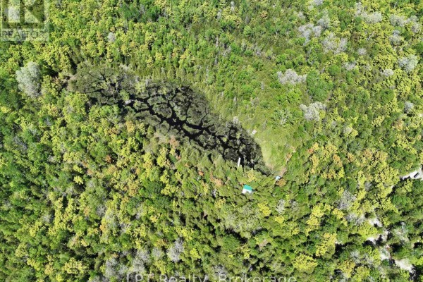 101 Log Cabin Lane, South Bruce Peninsula, ON N0H2T0 Photo 5