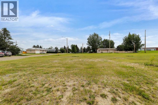 101 Majorville Close, Milo, AB, photo 2
