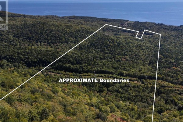 Aerial view of wooded land with approximate boundaries, showing the distant ocean and coastline. - 101 Millbrook Road, Wreck Cove
