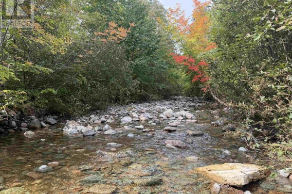 Clear shallow stream flowing over rocks, with colourful autumn foliage on the surrounding trees. - 101 Millbrook Road, Wreck Cove