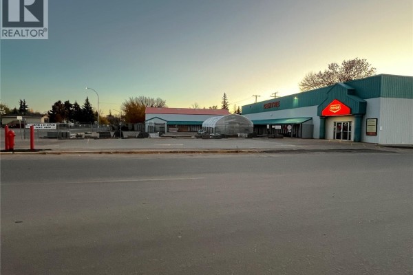 101 Sidney Street, Maple Creek, SK S0N1N0 Photo 3