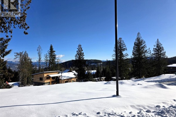 101 Topping Terrace, Rossland, BC, photo 2