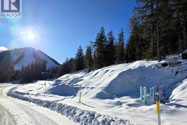 101 Topping Terrace, Rossland, BC, photo 3