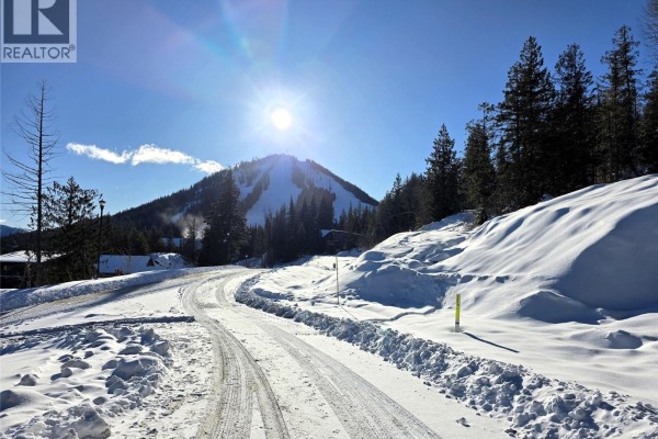 101 Topping Terrace, Rossland, BC V0G1Y0 Photo 4