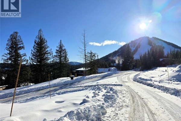 101 Topping Terrace, Rossland, BC V0G1Y0 Photo 5