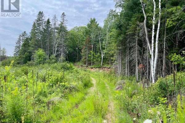 1011 Mcgrath Road, Bonnechere Valley, ON K0J1T0 Photo 3