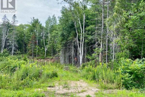 1011 Mcgrath Road, Bonnechere Valley, ON K0J1T0 Photo 4