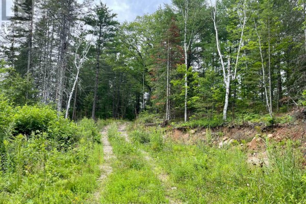 1011 Mcgrath Road, Bonnechere Valley, ON K0J1T0 Photo 5