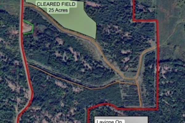 Aerial view of a large wooded property with a cleared access road and clear boundaries. - 10138 Highway 64 South, West Nipissing