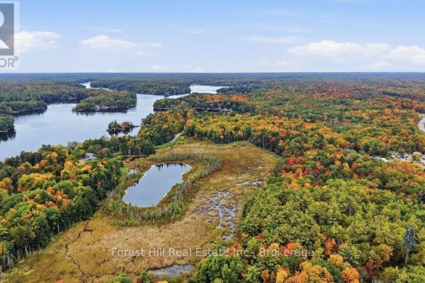 1014a Burgess Avenue, Muskoka Lakes, ON P0C1A0 Photo 2