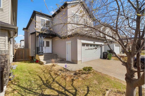 Den - 1015 61 St Sw, Edmonton, AB T6X0M4 Photo 4