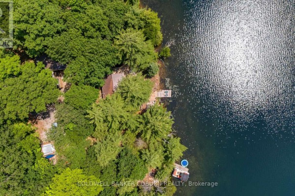 Aerial view of a cottage nestled amongst lush green trees, adjacent to a large body of water. - 1015 Oak Lane N, Frontenac