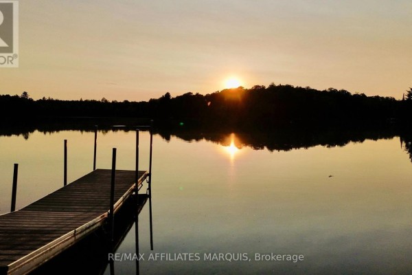 Silhouette of trees on the horizon reflected in a lake during a golden sunset. - 1015 Penyck  Lake Lane, Frontenac