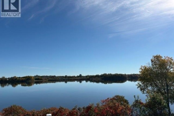 Distant view of a tree-lined riverbank under a bright blue sky with scattered clouds. - 1015 Winton Crescent, Bathurst