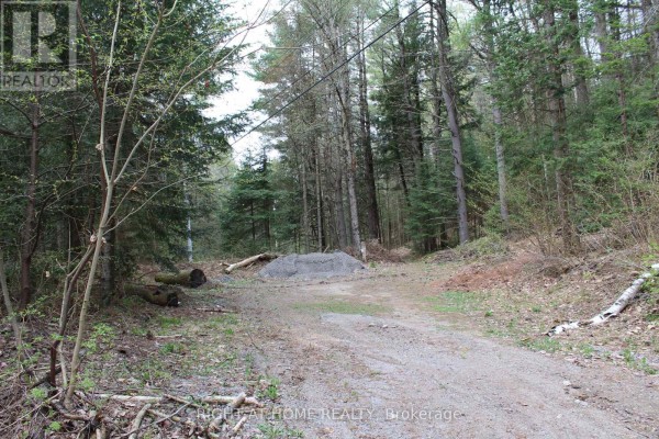 Gravel driveway through a wooded area with fallen logs and a pile of gravel. - 1019 Forrester Trail, Bracebridge