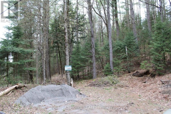 Wooded lot with a "for sale" sign, gravel pile, and scattered branches. - 1019 Forrester Trail, Bracebridge