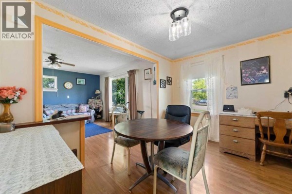 1019 Main Street, Ohaton, AB T0B3P0 Photo 5