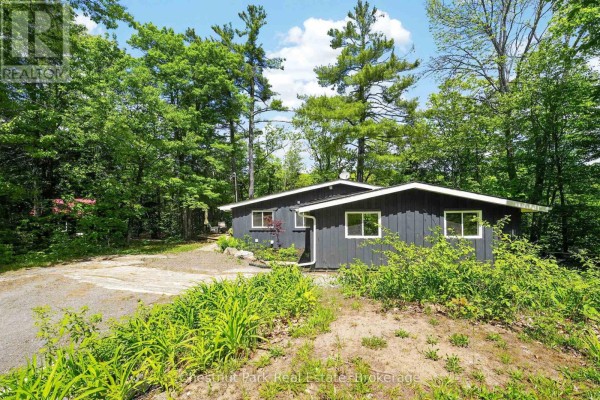 Bedroom 3 - 1019 Old Bala Road, Muskoka Lakes), ON P0C1A0 Photo 3