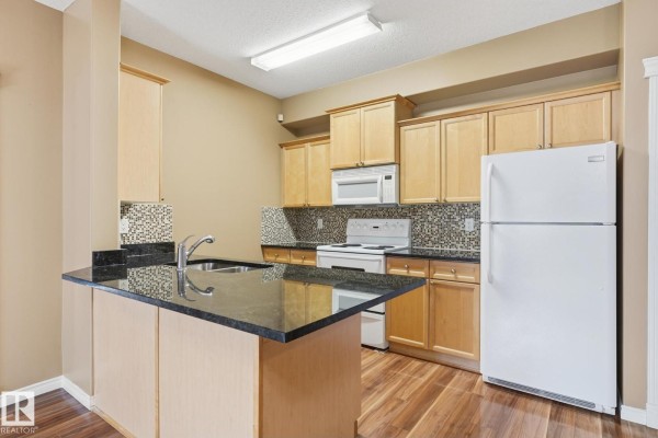 #102 16715 100 Av Nw, Edmonton, AB T5P4Z5 Photo 4