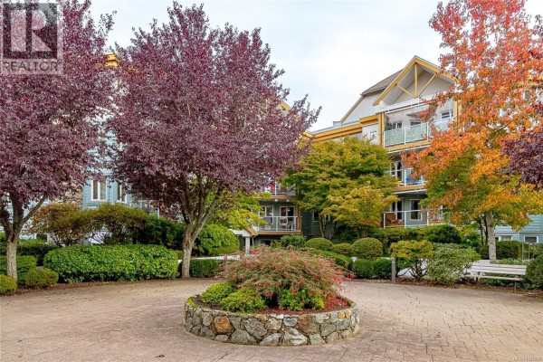 Courtyard with paved walkway and mature trees showing fall colors. - 102 490 Marsett Pl, Saanich