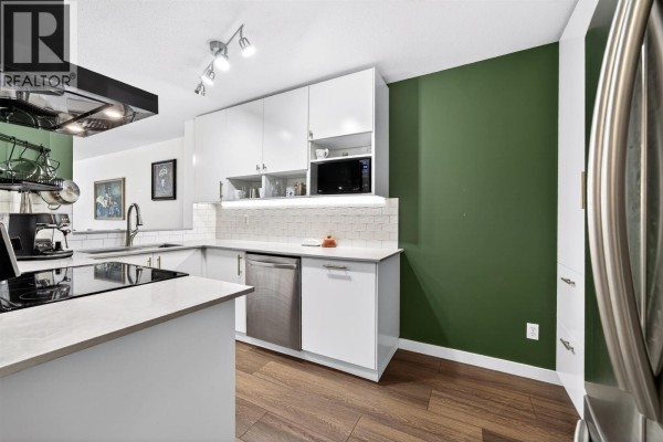 102 509 Carnarvon Street, New Westminster, BC V3L5S4 Photo 4