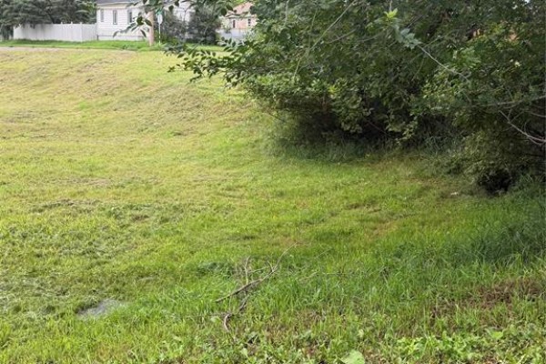 102 6th Street N, Brandon, MB R7A2P3 Photo 3