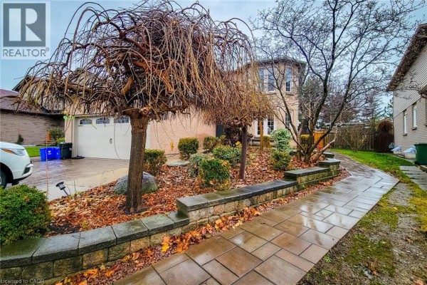 View of a residential house exterior with a paved walkway and decorative trees. - 102 Bonaparte Way Unit# 2 Lower, Hamilton