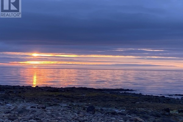 Long stretch of rocky coastline bordered by trees and a road. - 102 Shore Road, Phinneys Cove