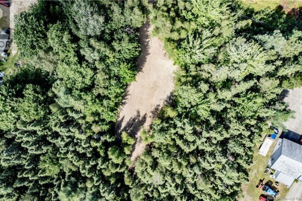 Overhead view of a large, undeveloped lot covered in dense green trees. - 10200 Route 134, Saint Louis De Kent
