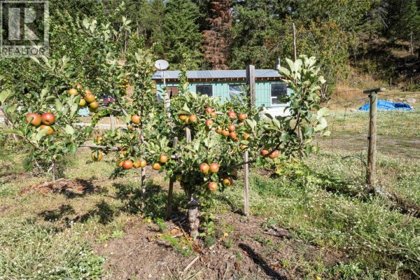 1021 Creighton Valley Road, Lumby, BC V0E2G1 Photo 4