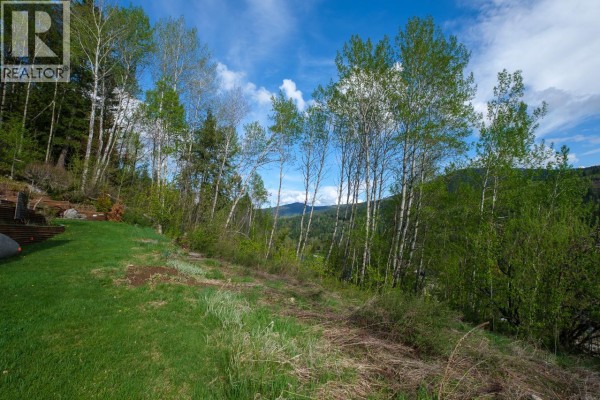 1021 Silvertip Road, Rossland, BC, photo 2