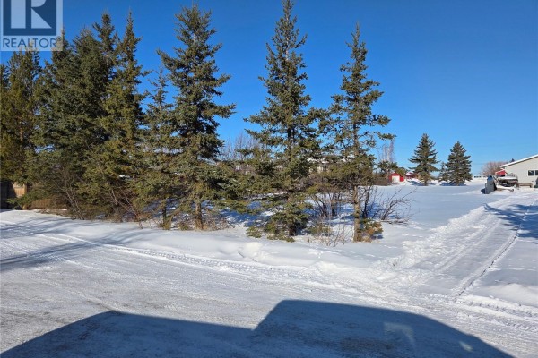 1022 111th Avenue E, Tisdale, SK S0E1T0 Photo 3
