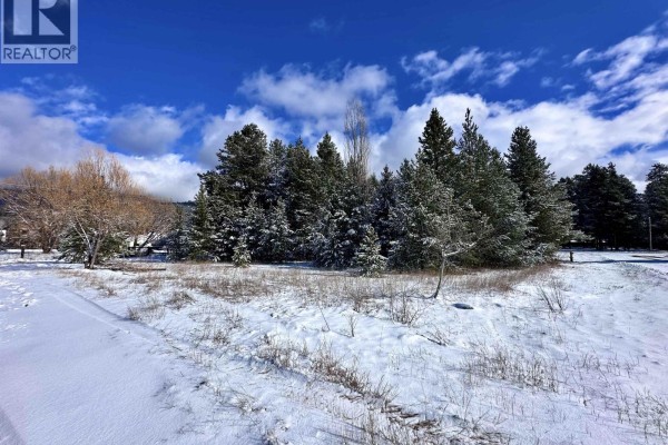 1022 7th Avenue, Valemount, BC, photo 2