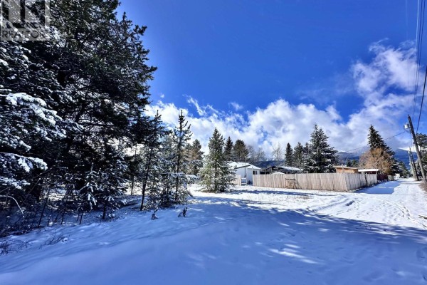 1022 7th Avenue, Valemount, BC V0E2Z0 Photo 5