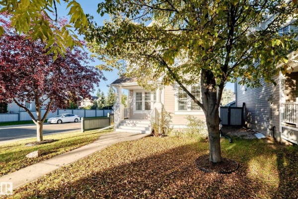 Side view of the house entrance with a sidewalk, green lawn, and trees with fall leaves. - 1022 80 St Sw, Edmonton