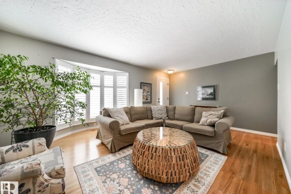 Family room - 10231 46 St Nw, Edmonton, AB T6A1X9 Photo 4