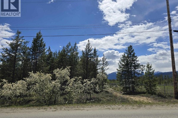1025 9th Avenue, Valemount, BC V0E2Z0 Photo 2