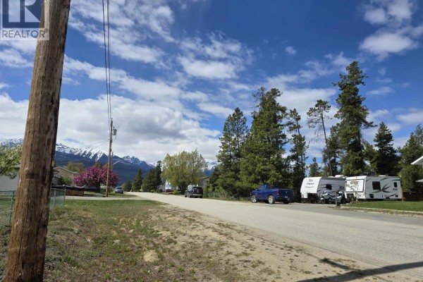 1025 9th Avenue, Valemount, BC V0E2Z0 Photo 4