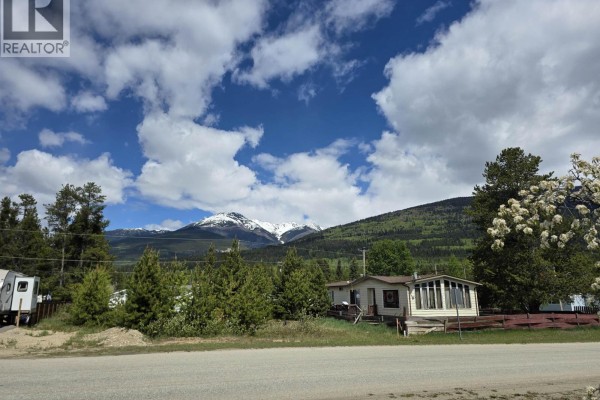 1025 9th Avenue, Valemount, BC V0E2Z0 Photo 5