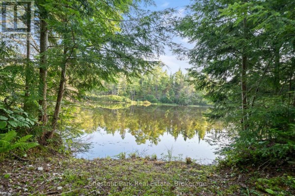 1025 Moe's Road, Bracebridge, ON P1L1X3 Photo 3