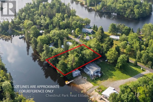 1025 Moe's Road, Bracebridge, ON P1L1X3 Photo 5