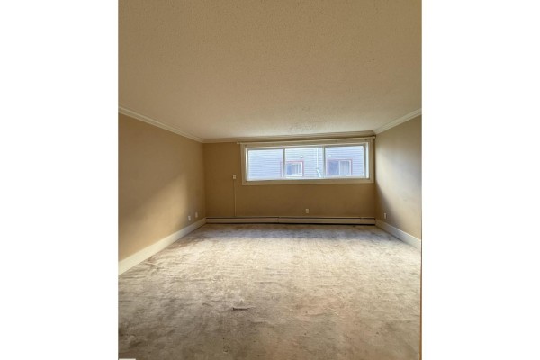 #103 11916 104 St Nw, Edmonton, AB T5G2L2 Photo 5