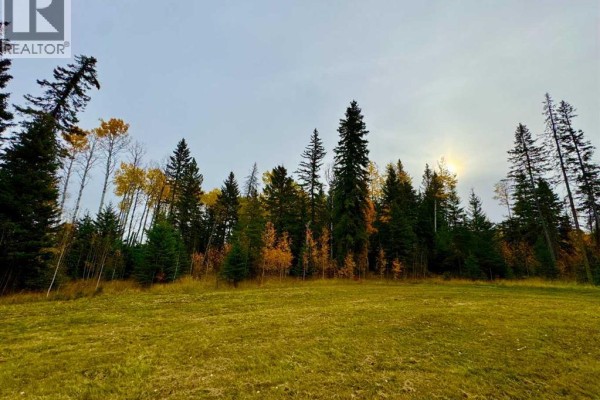 103 Meadow Ponds Drive, Rural Clearwater County, AB, photo 3