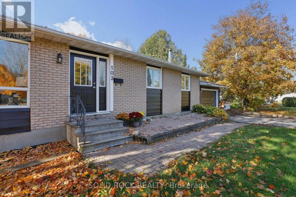 Utility room - 103 Rostad Avenue, Ottawa, ON K0A2H0 Photo 4
